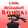 China Restaurant Bonsai